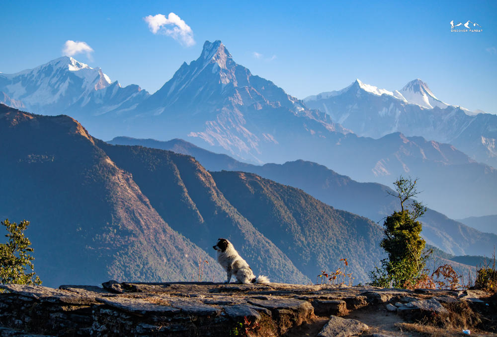 Millet terraces above the valley
