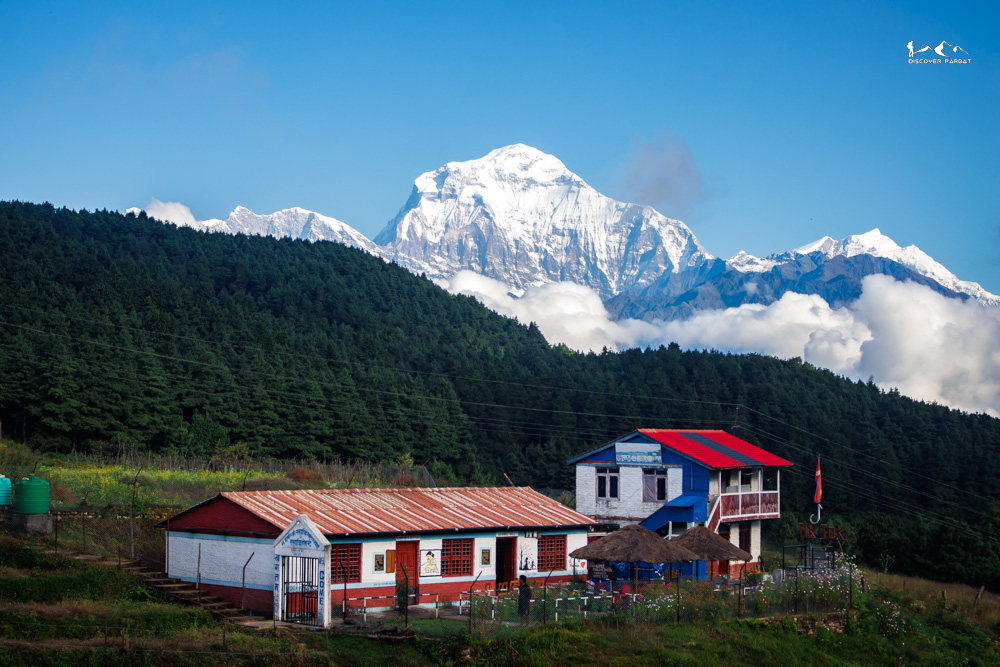 Children at the herder's settlement