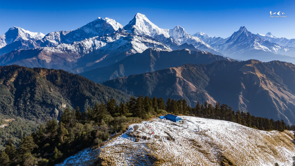 Mossy stones in the old forest