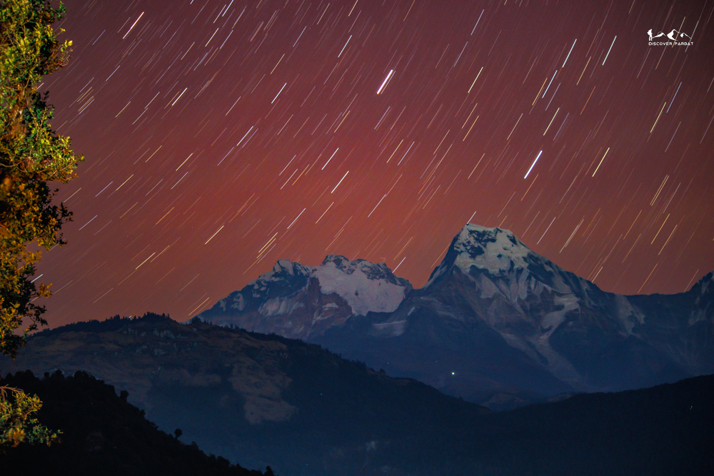 Mossy stones in the old forest