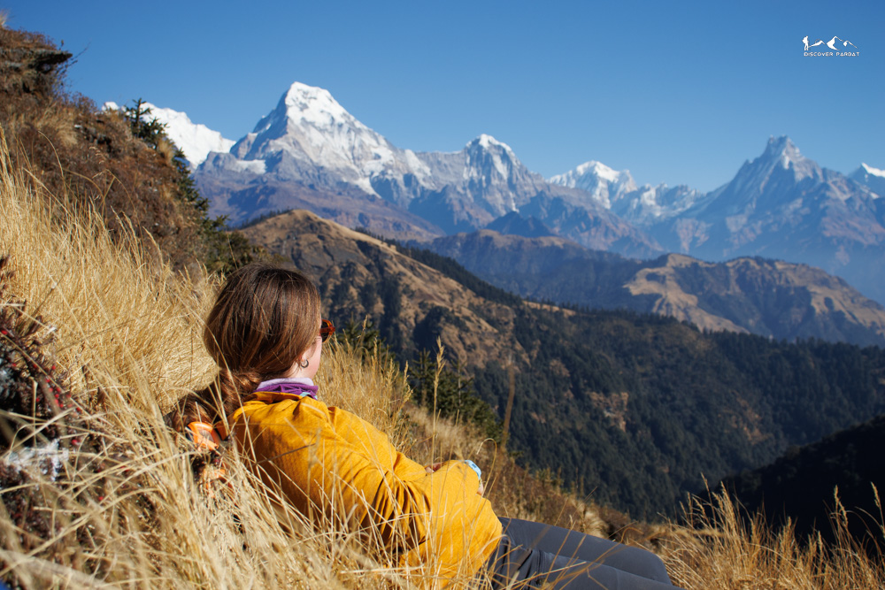 Mossy stones in the old forest