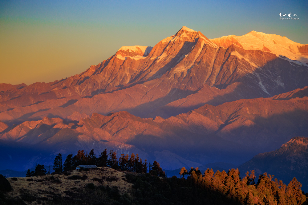 Mossy stones in the old forest