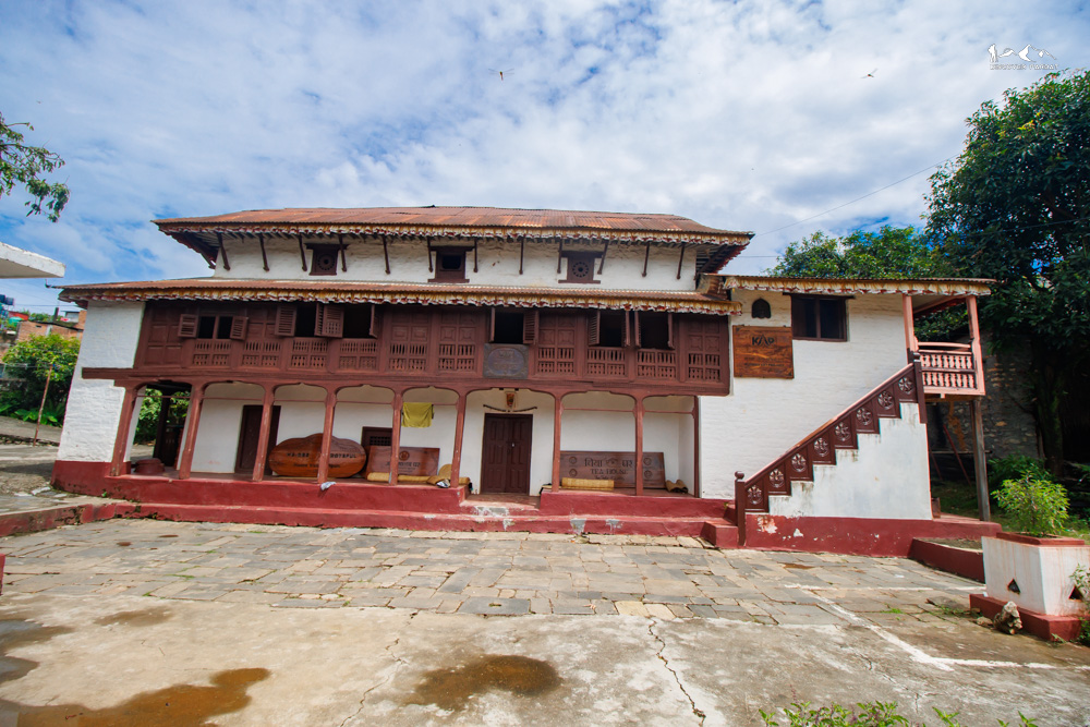 Mossy stones in the old forest
