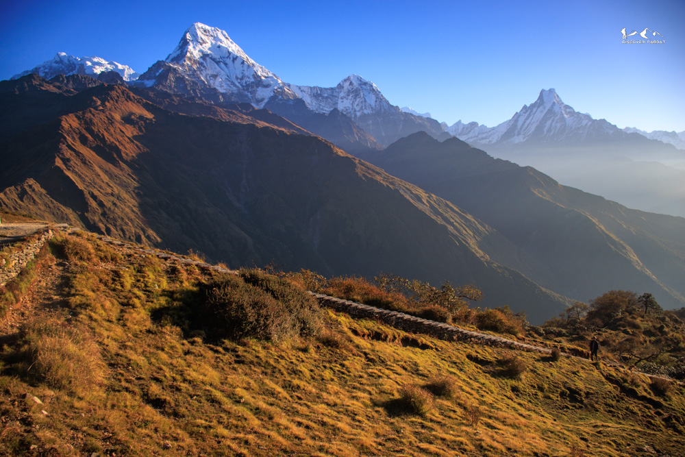 Short Multiple Viewpoints Trek views